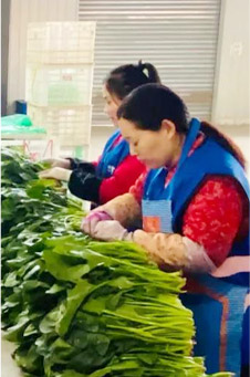 食品衛生管理方案